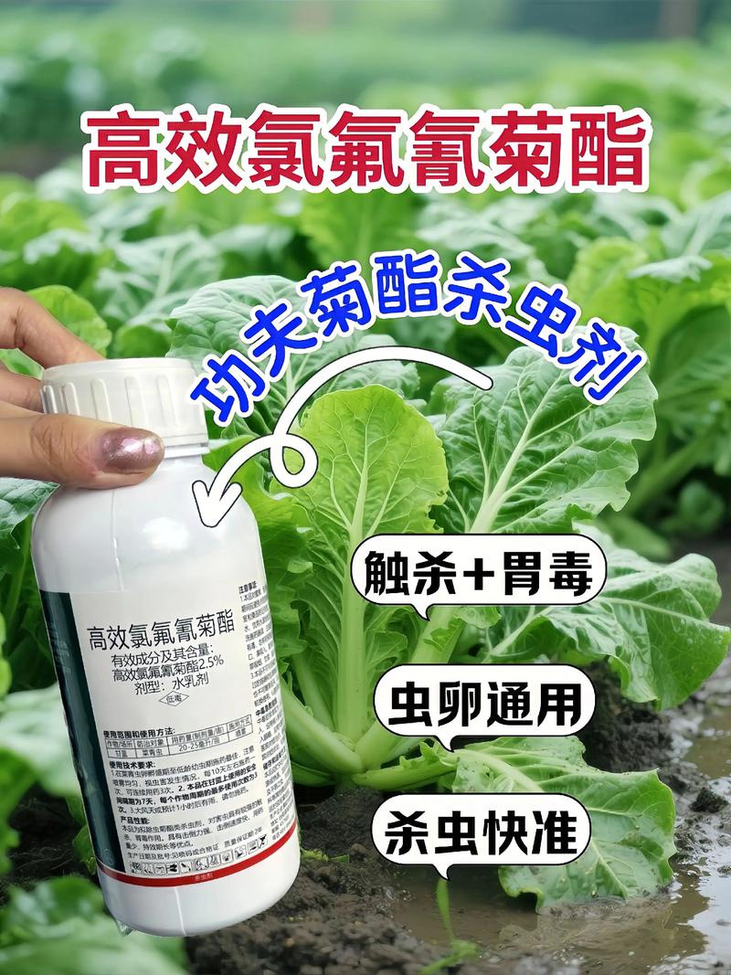 阿克苏代生中心:农药对供卵代生妈妈的危害